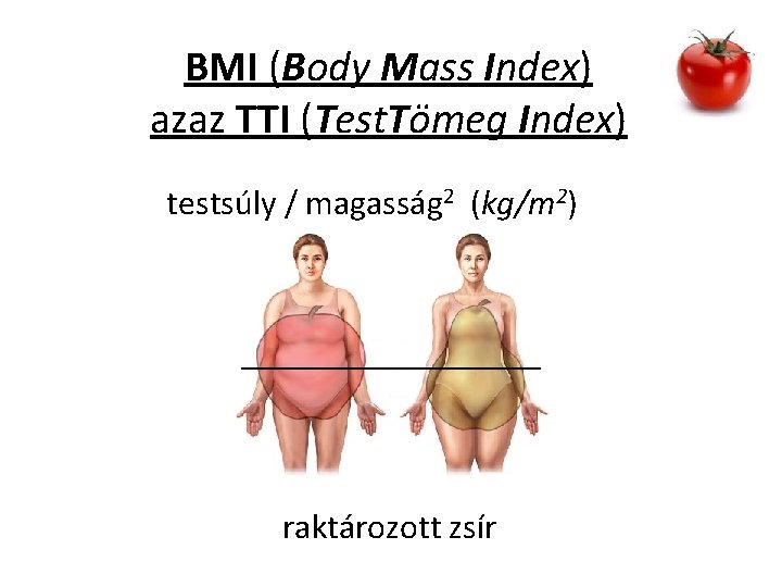 BMI (Body Mass Index) azaz TTI (Test. Tömeg Index) testsúly / magasság 2 (kg/m