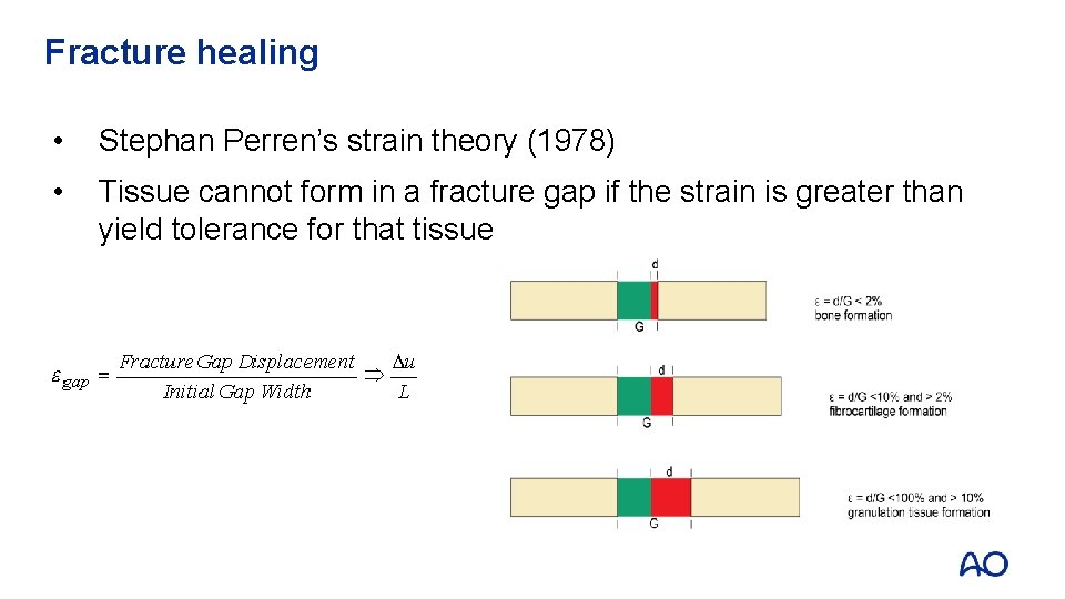 Fracture healing • Stephan Perren’s strain theory (1978) • Tissue cannot form in a