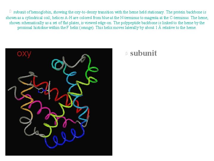 subunit of hemoglobin, showing the oxy-to-deoxy transition with the heme held stationary. The protein