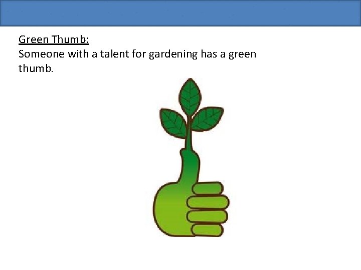 Green Thumb: Someone with a talent for gardening has a green thumb. 