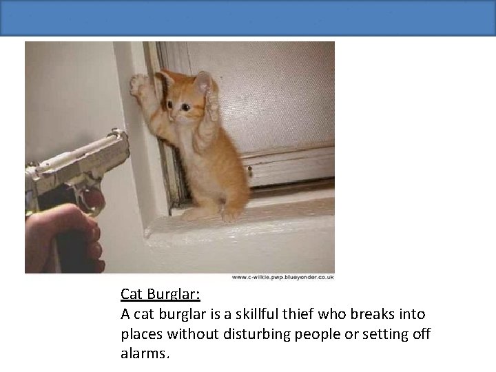 Cat Burglar: A cat burglar is a skillful thief who breaks into places without