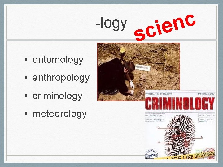 -logy • entomology • anthropology • criminology • meteorology c n e i sc
