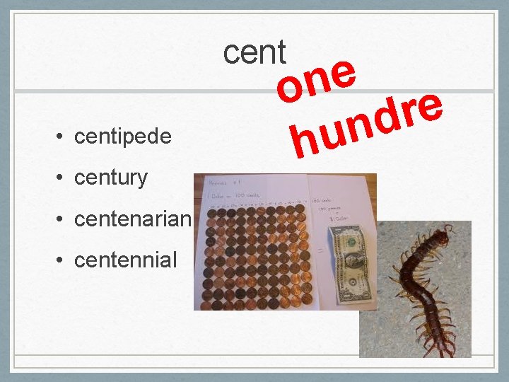 cent • centipede • century • centenarian • centennial e n o e r