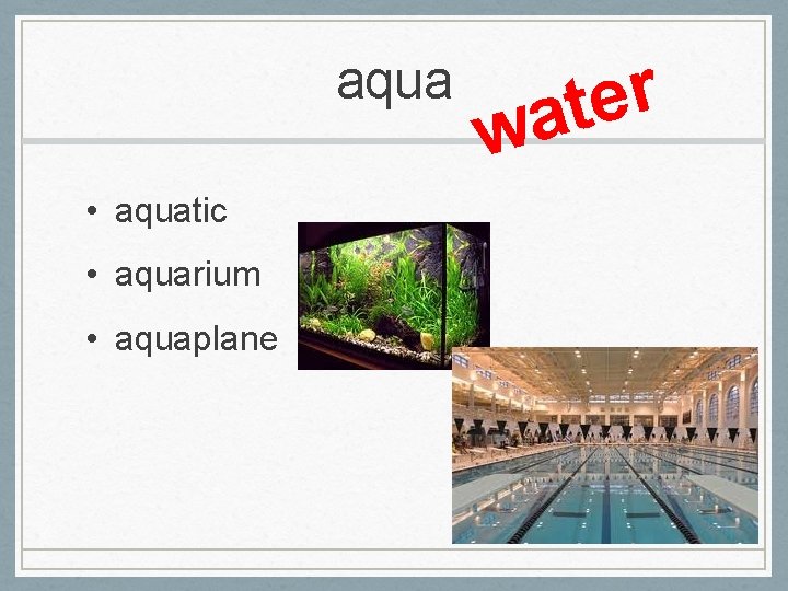 aqua • aquatic • aquarium • aquaplane r e t a w 