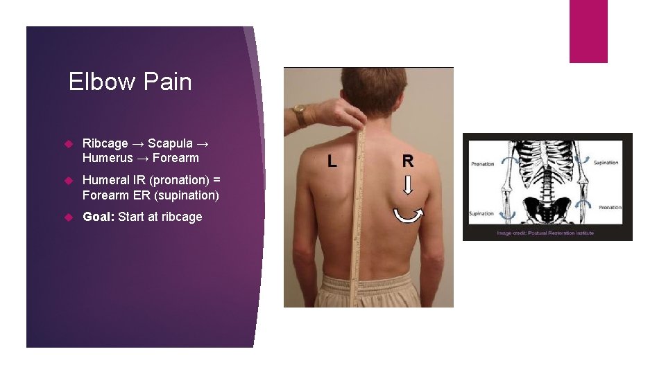 Elbow Pain Ribcage → Scapula → Humerus → Forearm Humeral IR (pronation) = Forearm