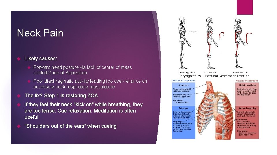 Neck Pain Likely causes: Forward head posture via lack of center of mass control/Zone