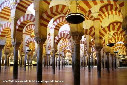 La forêt de colonnes de la Grande Mosquée de Cordoue. 