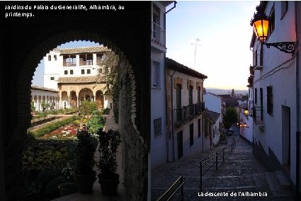 Jardins du Palais du Generalife, Alhambra, au printemps. Le Généralife, palais d'été des Nasrides