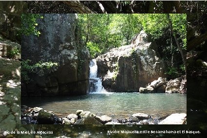 Río de la Miel, en Algeciras Rivière Majaceite entre Benamahoma et El Bosque. 