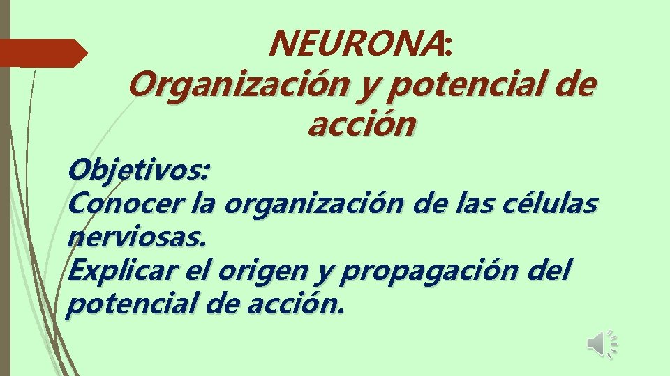 NEURONA: Organización y potencial de acción Objetivos: Conocer la organización de las células nerviosas.