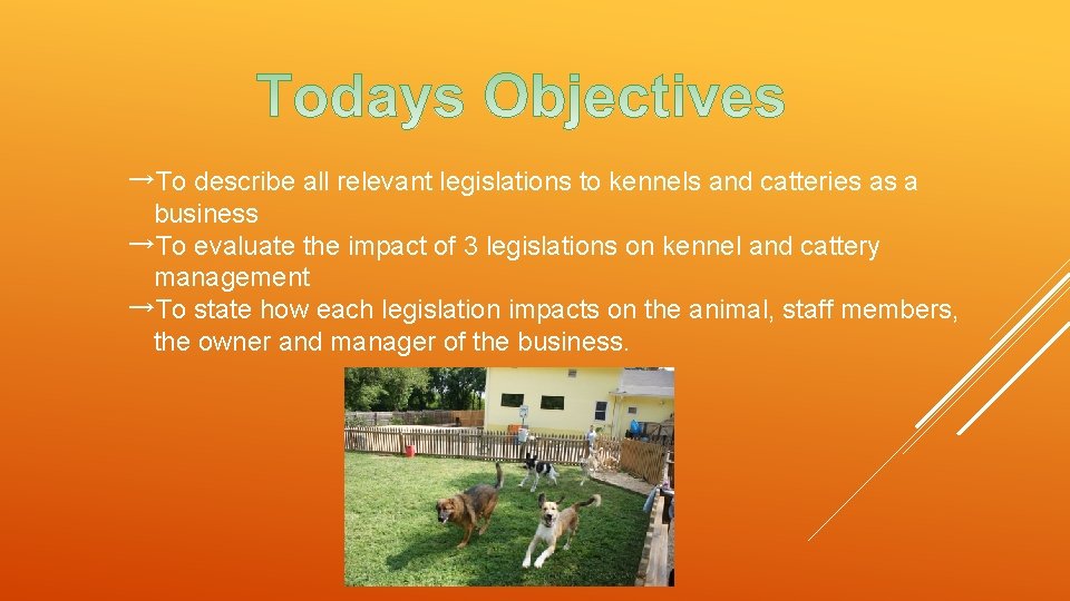 →To describe all relevant legislations to kennels and catteries as a business →To evaluate