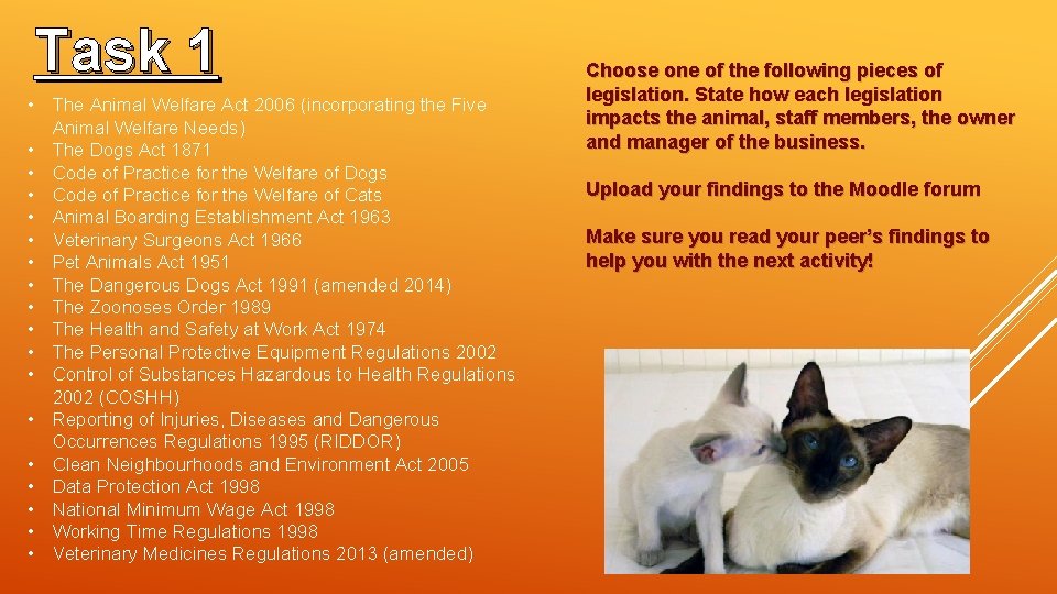 Task 1 • The Animal Welfare Act 2006 (incorporating the Five Animal Welfare Needs)
