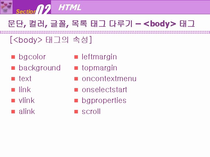 02 Section HTML 문단, 컬러, 글꼴, 목록 태그 다루기 – <body> 태그 [<body> 태그의