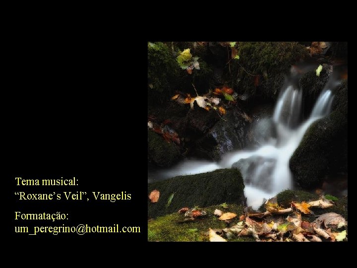 Tema musical: “Roxane’s Veil”, Vangelis Formatação: um_peregrino@hotmail. com holdemqueen@hotmail. com 