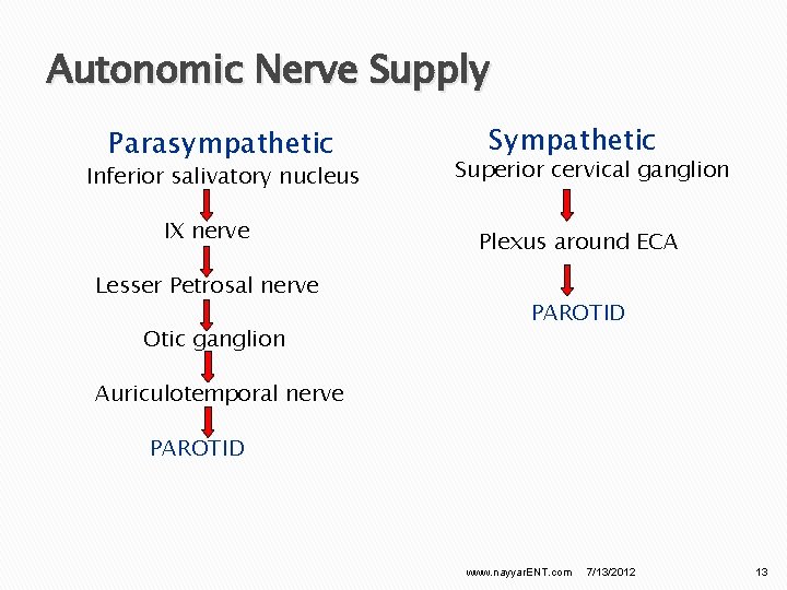 Autonomic Nerve Supply Parasympathetic Inferior salivatory nucleus IX nerve Lesser Petrosal nerve Otic ganglion