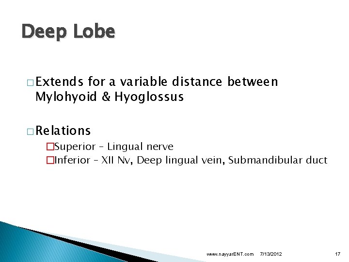 Deep Lobe � Extends for a variable distance between Mylohyoid & Hyoglossus � Relations
