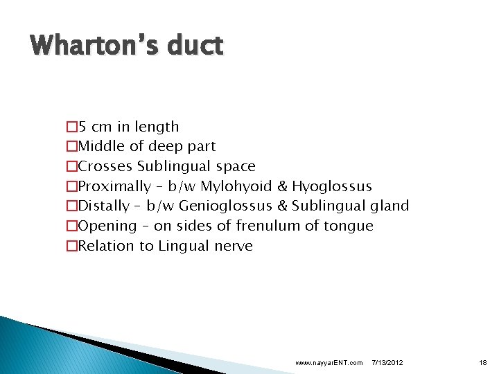 Wharton’s duct � 5 cm in length �Middle of deep part �Crosses Sublingual space