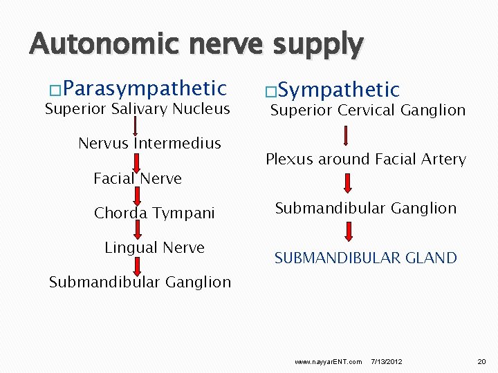Autonomic nerve supply �Parasympathetic Superior Salivary Nucleus Nervus Intermedius Facial Nerve Chorda Tympani Lingual