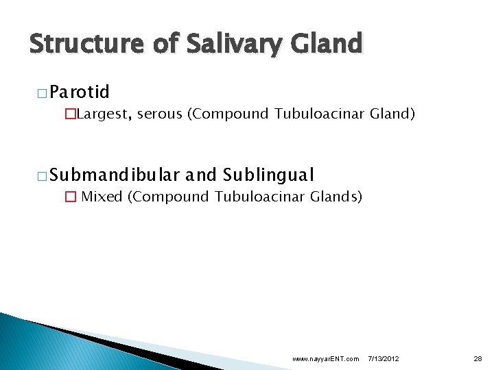 Structure of Salivary Gland � Parotid �Largest, serous (Compound Tubuloacinar Gland) � Submandibular and