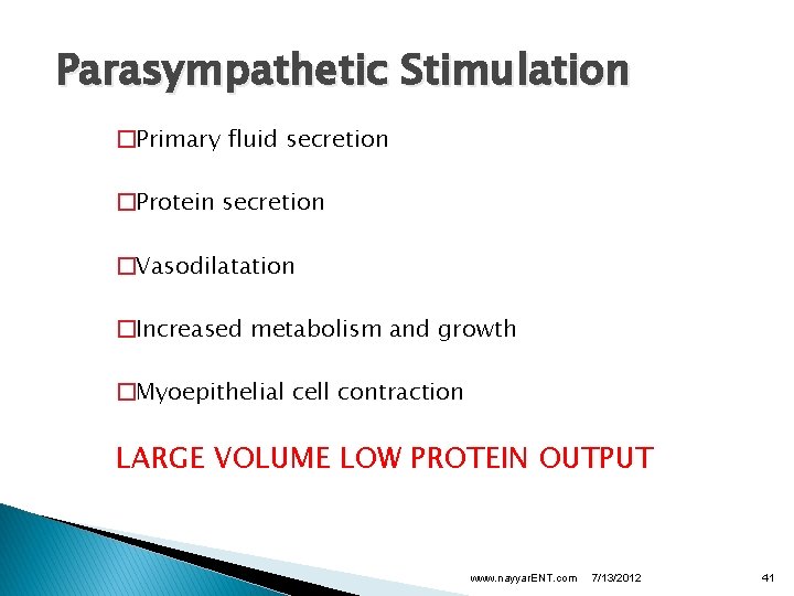 Parasympathetic Stimulation �Primary fluid secretion �Protein secretion �Vasodilatation �Increased metabolism and growth �Myoepithelial cell