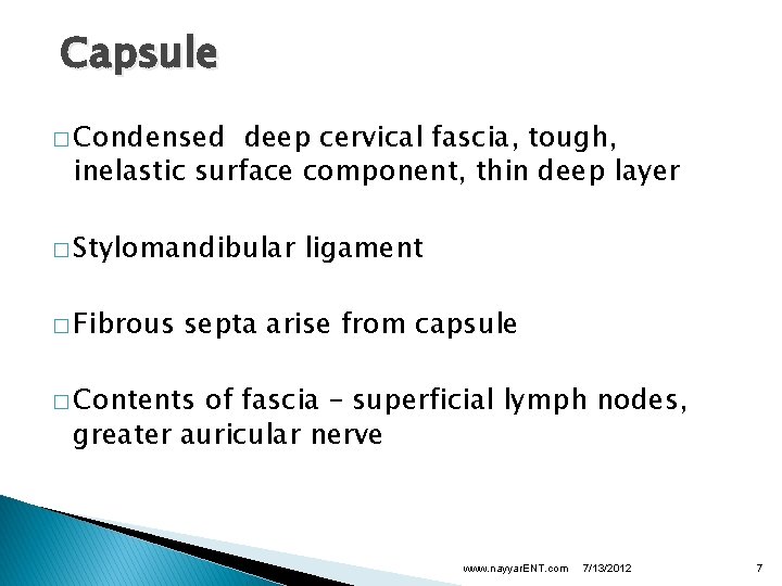 Capsule � Condensed deep cervical fascia, tough, inelastic surface component, thin deep layer �