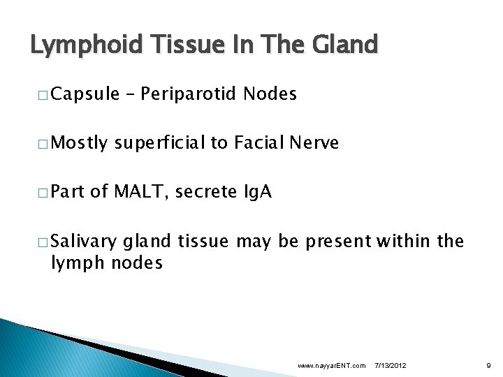 Lymphoid Tissue In The Gland � Capsule � Mostly � Part – Periparotid Nodes