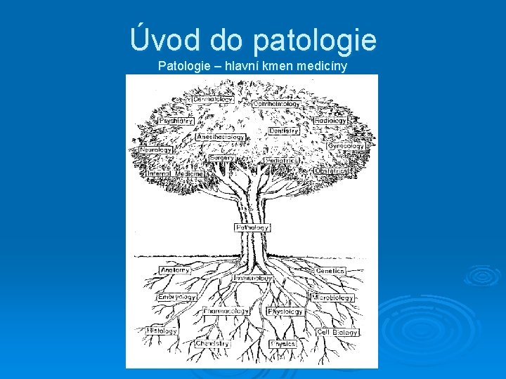 Úvod do patologie Patologie – hlavní kmen medicíny 