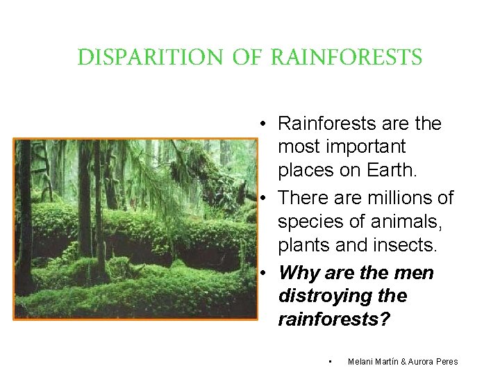 DISPARITION OF RAINFORESTS • Rainforests are the most important places on Earth. • There