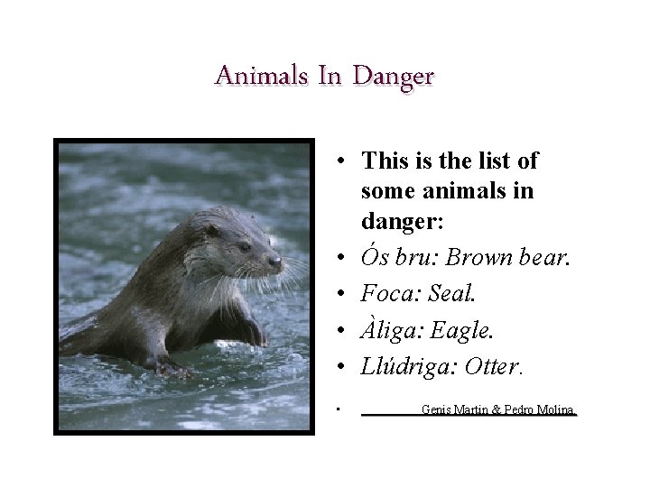 Animals In Danger • This is the list of some animals in danger: •