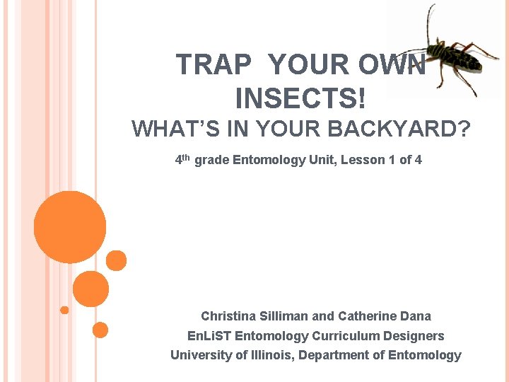 TRAP YOUR OWN INSECTS! WHAT’S IN YOUR BACKYARD? 4 th grade Entomology Unit, Lesson