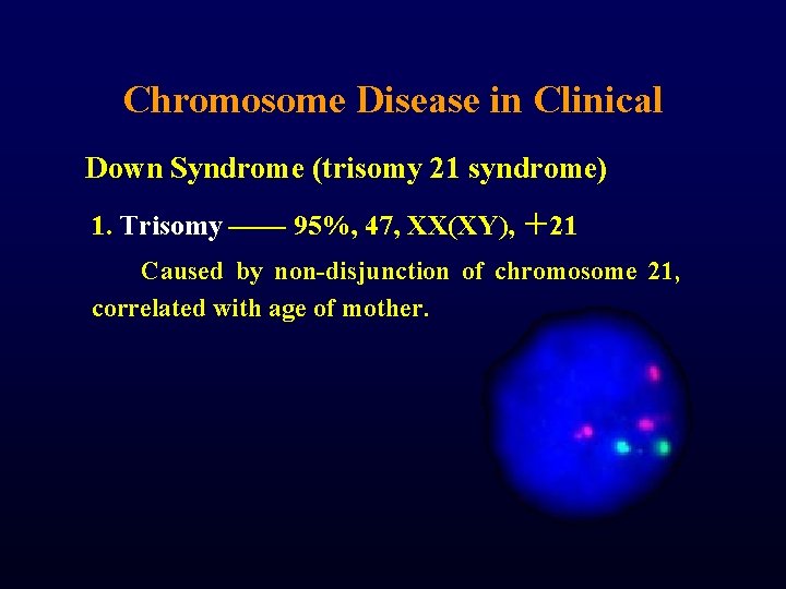 Chromosome Disease in Clinical Down Syndrome (trisomy 21 syndrome) 1. Trisomy —— 95%, 47,