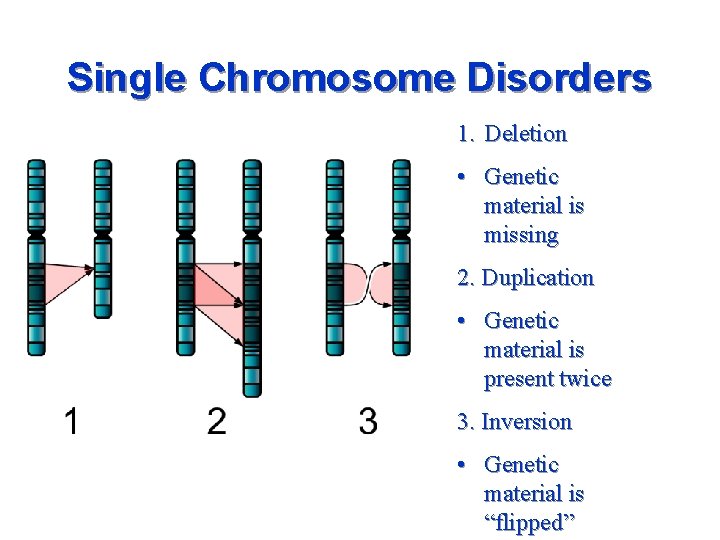 CMGNuclear Chromosome Disease Single Chromosome Disorders 1 Deletion