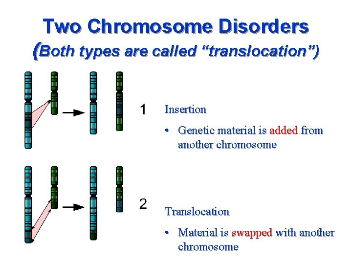 Two Chromosome Disorders (Both types are called “translocation”) Insertion • Genetic material is added