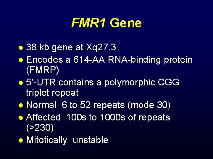FMR 1 Gene 38 kb gene at Xq 27. 3 l Encodes a 614