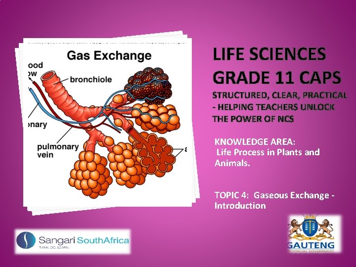 LIFE SCIENCES GRADE 11 CAPS STRUCTURED, CLEAR, PRACTICAL - HELPING TEACHERS UNLOCK THE POWER