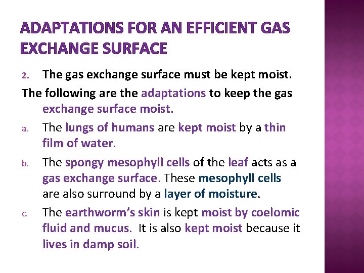 ADAPTATIONS FOR AN EFFICIENT GAS EXCHANGE SURFACE The gas exchange surface must be kept