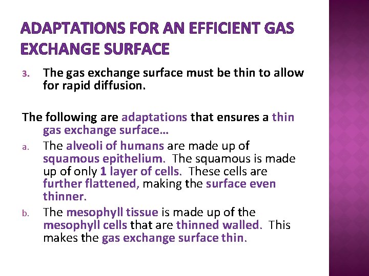 ADAPTATIONS FOR AN EFFICIENT GAS EXCHANGE SURFACE 3. The gas exchange surface must be