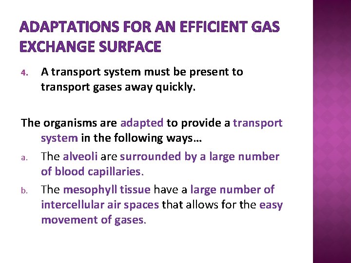 ADAPTATIONS FOR AN EFFICIENT GAS EXCHANGE SURFACE 4. A transport system must be present