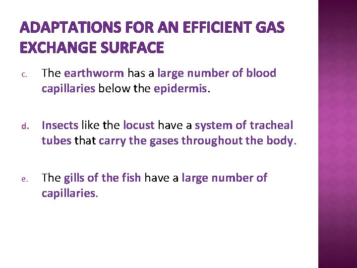 ADAPTATIONS FOR AN EFFICIENT GAS EXCHANGE SURFACE c. The earthworm has a large number