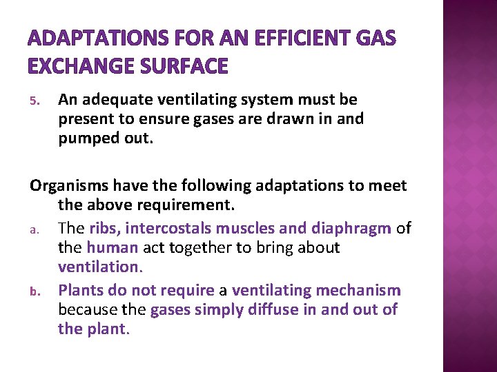 ADAPTATIONS FOR AN EFFICIENT GAS EXCHANGE SURFACE 5. An adequate ventilating system must be