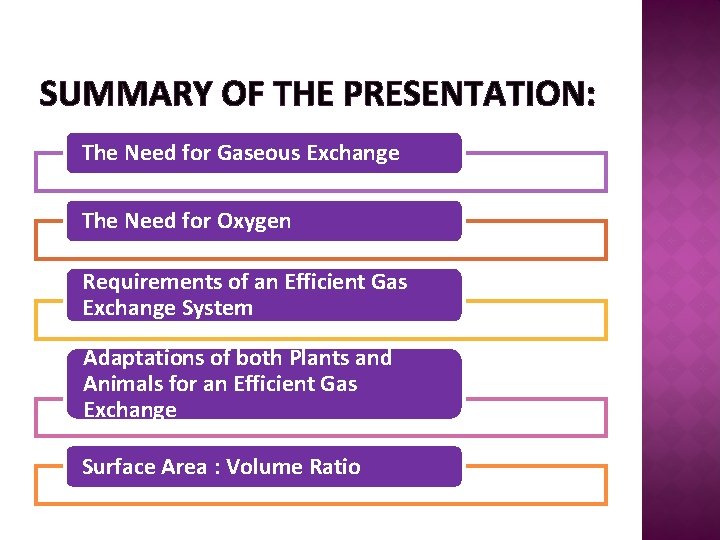 SUMMARY OF THE PRESENTATION: The Need for Gaseous Exchange The Need for Oxygen Requirements