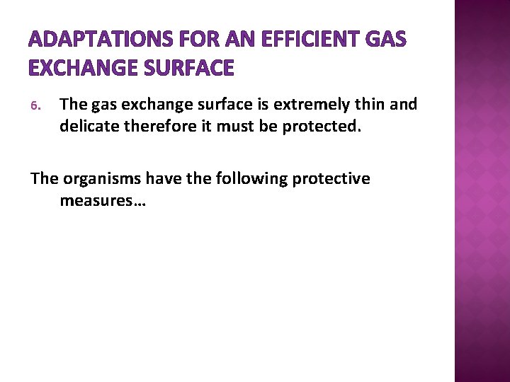 ADAPTATIONS FOR AN EFFICIENT GAS EXCHANGE SURFACE 6. The gas exchange surface is extremely