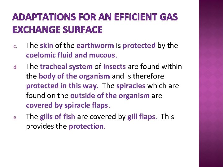 ADAPTATIONS FOR AN EFFICIENT GAS EXCHANGE SURFACE c. d. e. The skin of the