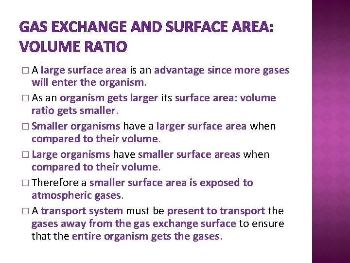 GAS EXCHANGE AND SURFACE AREA: VOLUME RATIO �A large surface area is an advantage