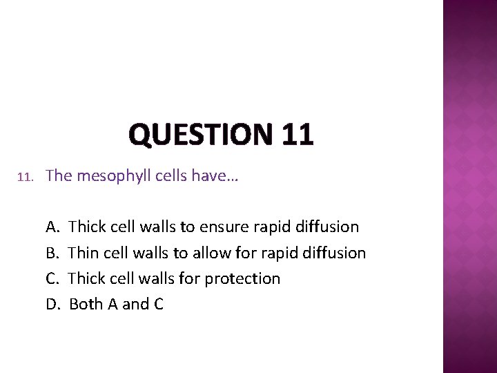 QUESTION 11 11. The mesophyll cells have… A. B. C. D. Thick cell walls