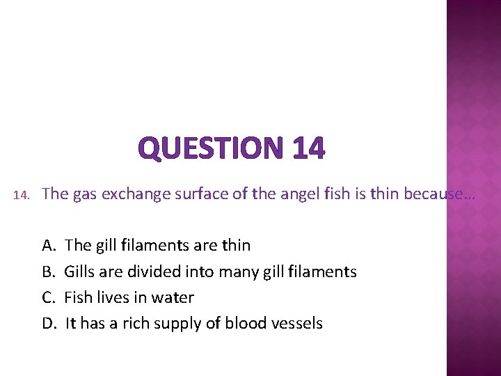 QUESTION 14 14. The gas exchange surface of the angel fish is thin because…