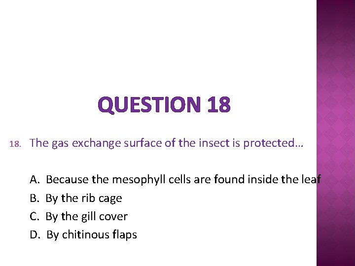 QUESTION 18 18. The gas exchange surface of the insect is protected… A. B.