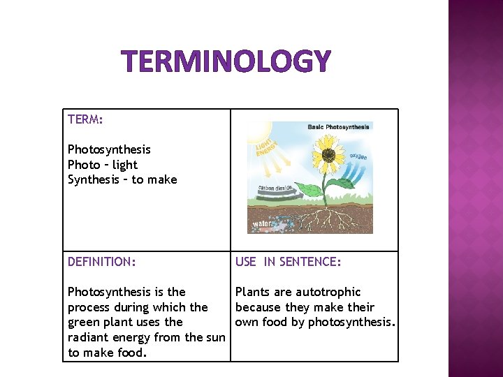 TERMINOLOGY TERM: Photosynthesis Photo – light Synthesis – to make DEFINITION: USE IN SENTENCE: