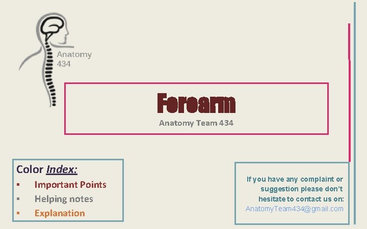 Forearm Anatomy Team 434 Color Index: ▪ ▪ ▪ Important Points Helping notes Explanation