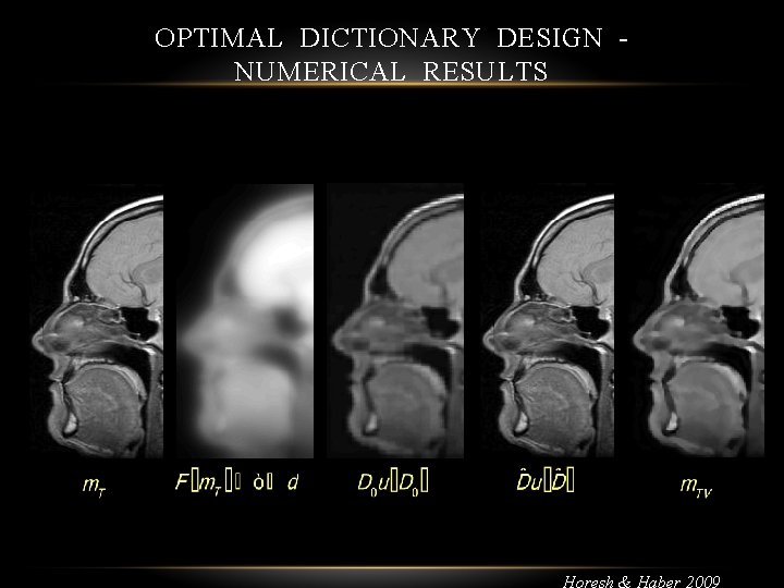 OPTIMAL DICTIONARY DESIGN NUMERICAL RESULTS Horesh & Haber 2009 